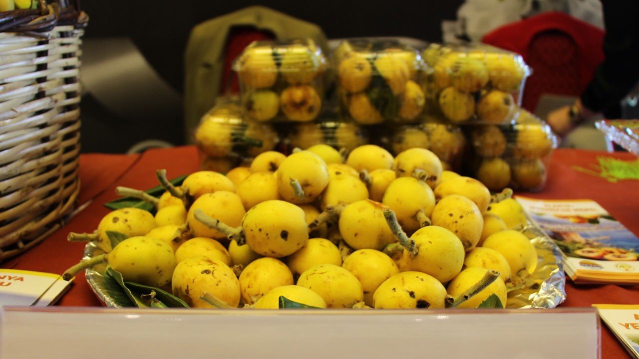 Türkiye’den AB’de coğrafi işaret atağı: 46 ürün tescillendi