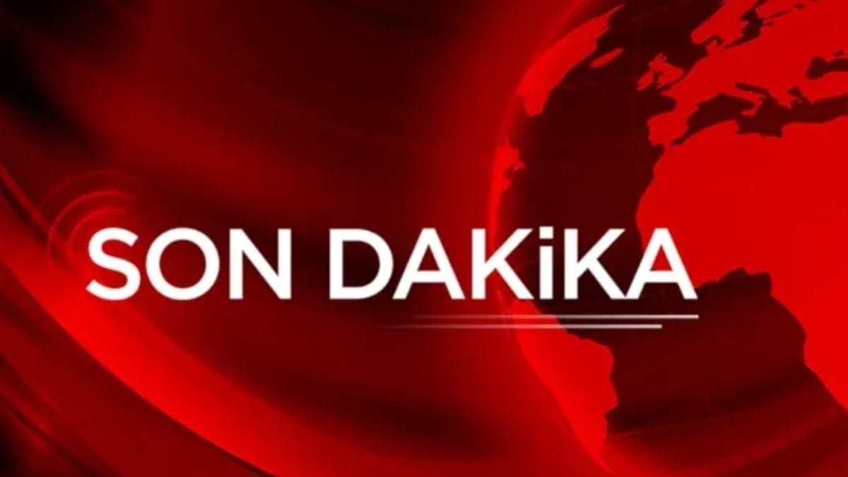 İstanbul Beykoz'da orman yangını